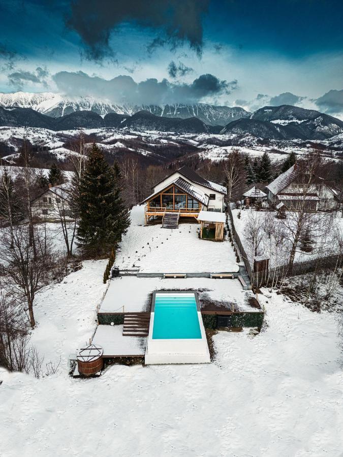 Villa Stockestate Moieciu Moieciu de Jos Exterior foto